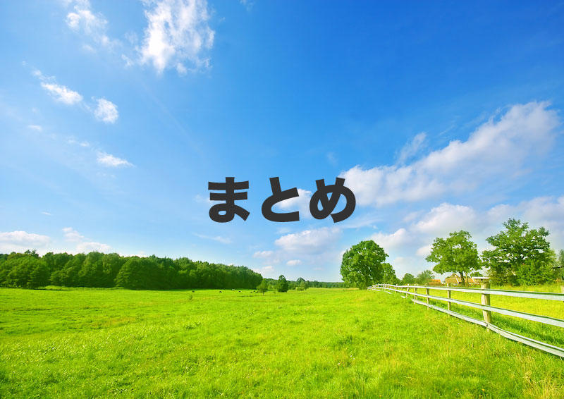 まとめ：田舎に強いモバイルWi-Fiの選び方