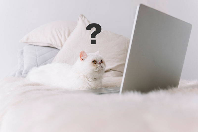 LTEの速度は遅い？