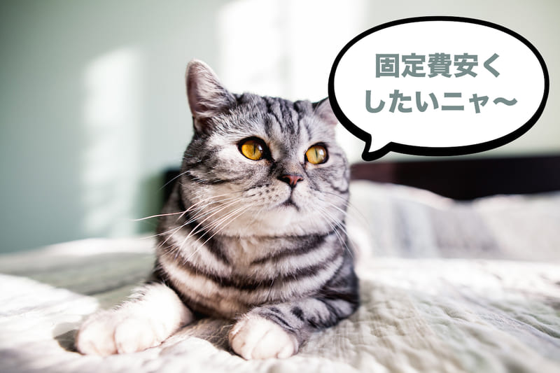 少しでも安く使いたいならスマホのキャリアと合わせるとお得！