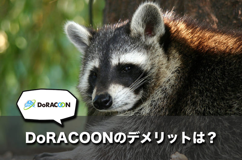 DoRACOONのデメリット3つ
