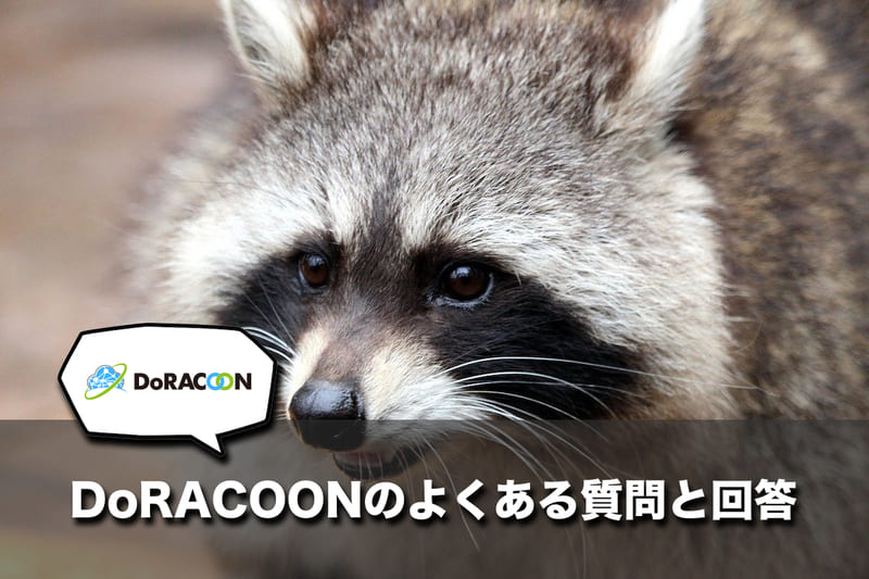 DoRACOONのよくある質問と回答