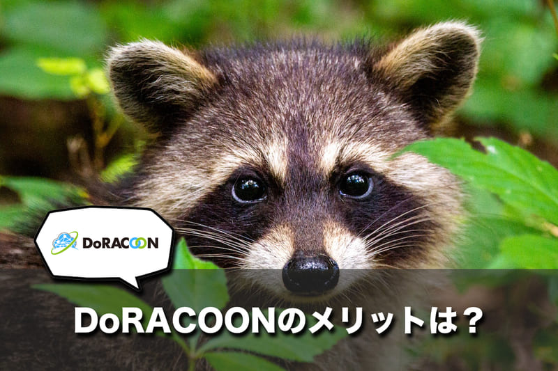 DoRACOONのメリット4つ