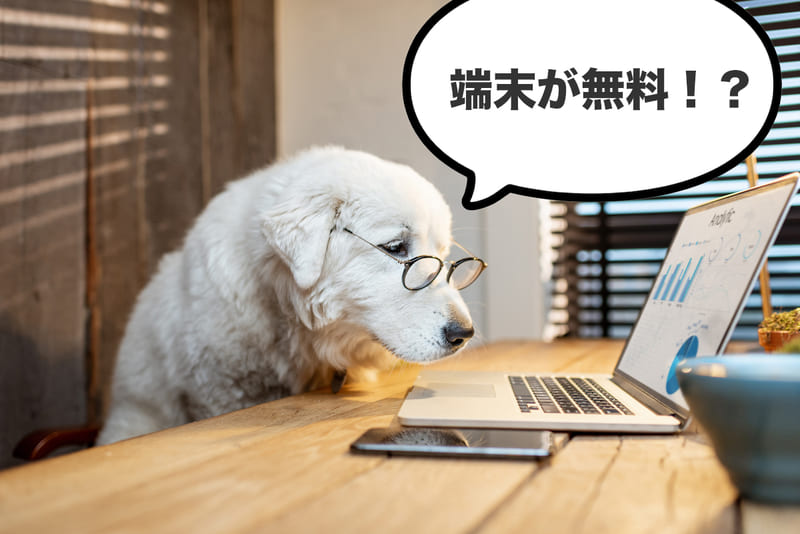 モバイルWi-Fiの端末を無料配布している事業者はある？